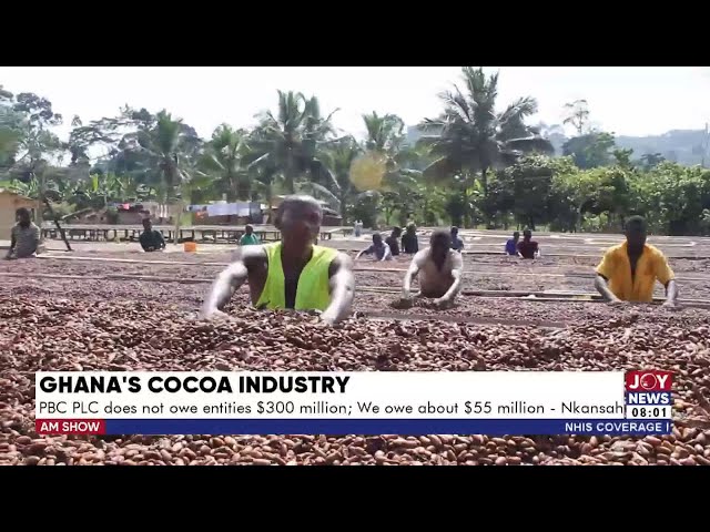 ⁣Ghana's Cocoa Industry: Funding continues to be a challenge for the PBC PLC - Nkansah