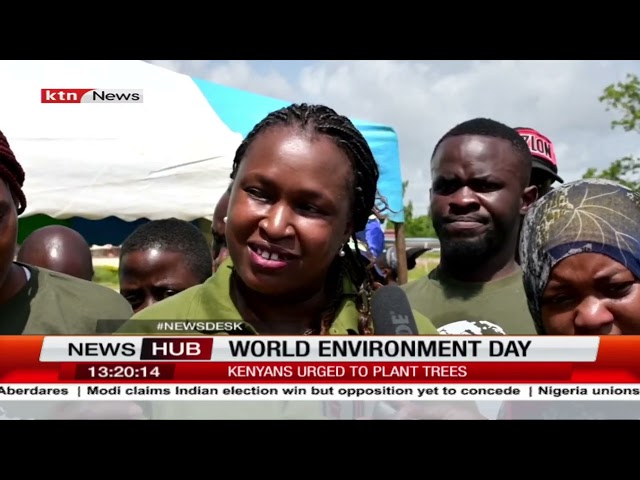 ⁣World Environment Day: Over 600 mangrove trees planted in Kilifi