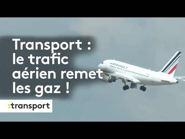 ⁣Transports : l'avion bat des records