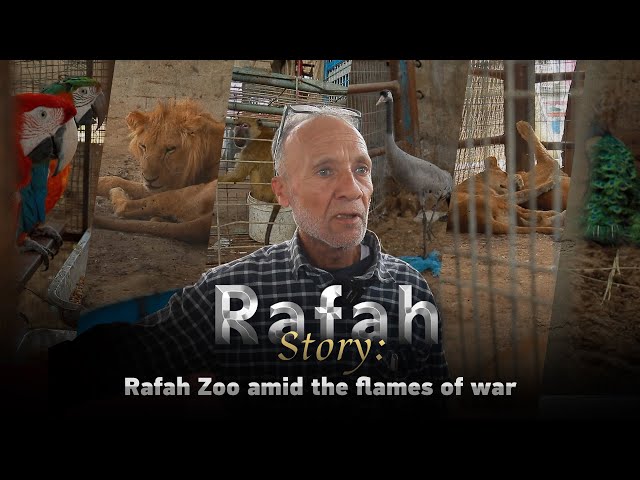 ⁣Rafah Story: Rafah Zoo amid the flames of war