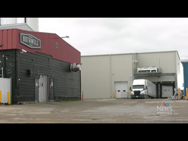⁣Not the gouda! Fire at Manitoba factory halts cheese production