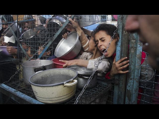 ⁣Une famine est-elle en cours à Gaza ?