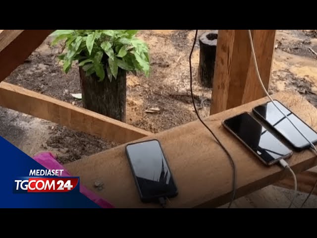 ⁣Musk porta Internet in Amazzonia, la tribù Marubo non lavora più