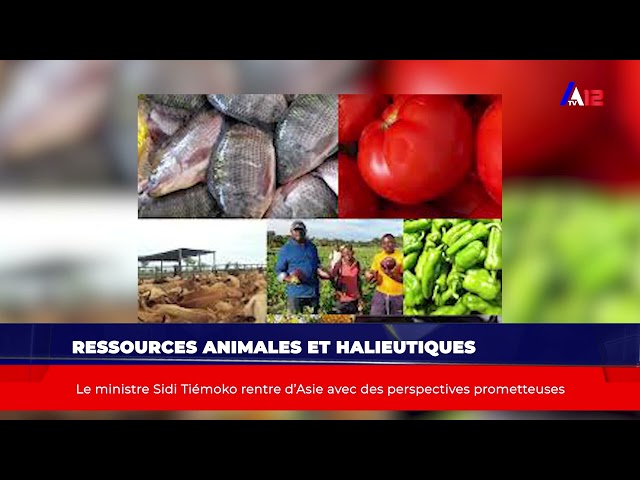 ⁣Ressources animales et halieutiques Le ministre Sidi Tiémoko rentre d’Asie avec des perspectives pro