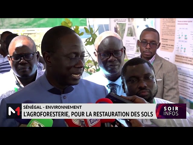 ⁣Sénégal : L´agroforestière, pour la restauration des sols