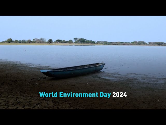 ⁣World Environment Day 2024
