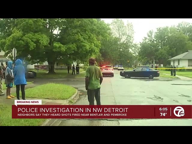 ⁣Large police presence at scene in northwest Detroit