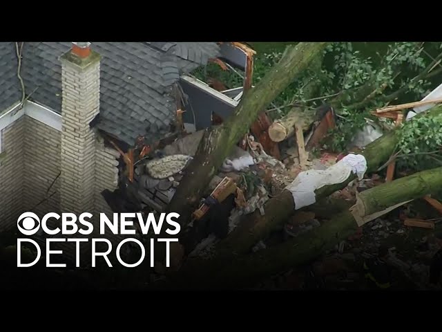 ⁣Tree falls on house in Livonia, Michigan following severe weather