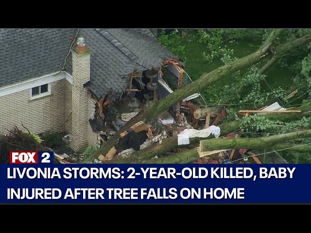 ⁣Swath of Livonia hammered by severe storms, killing 2-year-old, injuring baby