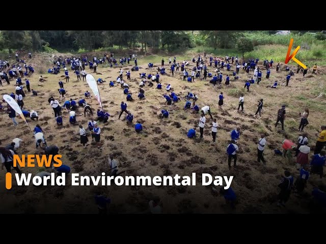 ⁣Brookside Dairy marks day with tree planting and Nairobi river cleanup