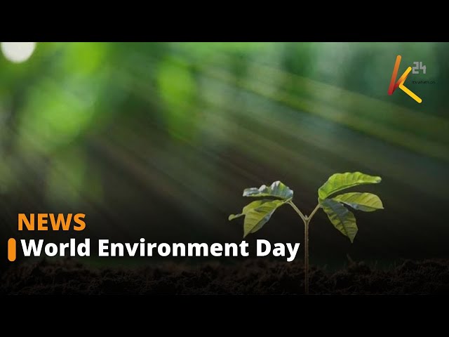 ⁣Conservationists across different counties commemorate World Environment Day