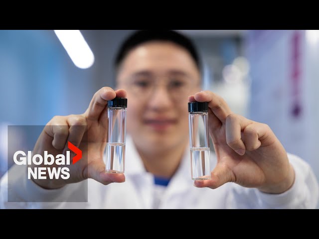 ⁣How a BC university's oral insulin drops could change diabetes medication