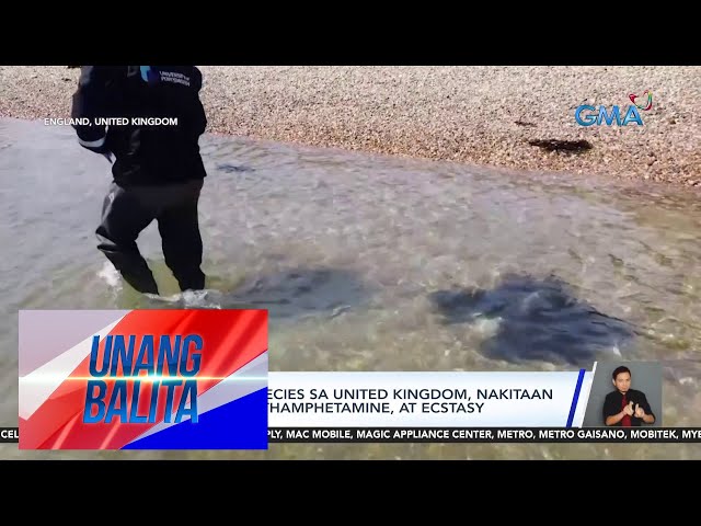 ⁣Ilang marine species sa United Kingdom, nakitaan ng cocaine, methamphetamine, at... | Unang Balita