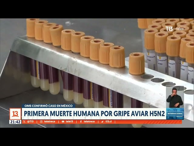 ⁣OMS confirma primera muerte humana por gripe aviar H5N2 en México