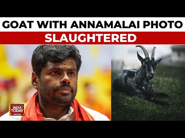 ⁣Goat Brutally Slaughtered In Public View In Tamil Nadu, BJP Blames DMK | India Today News