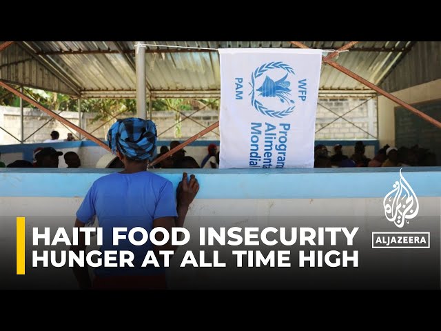 ⁣WFP warns of potential famine in Haiti amid gang violence and homelessness