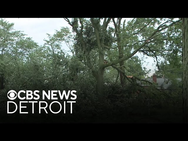 ⁣Child dies amid severe weather in Southeast Michigan