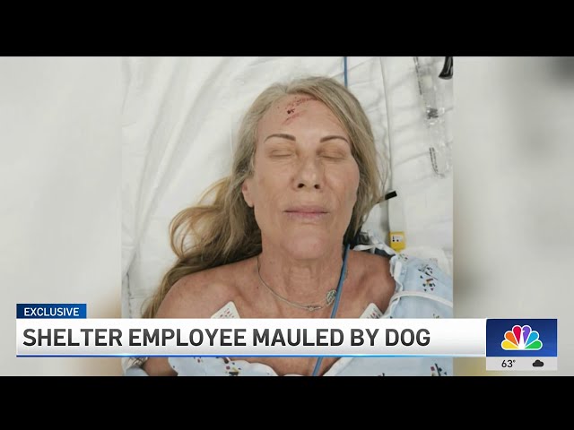 ⁣LA shelter employee mauled by dog
