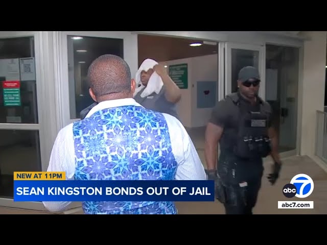 ⁣Singer Sean Kingston bonds out of jail after extradition from SoCal