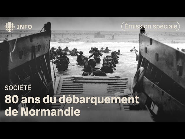 ⁣Débarquement de Normandie : regardez en direct notre émission spéciale sur le 80e anniversaire