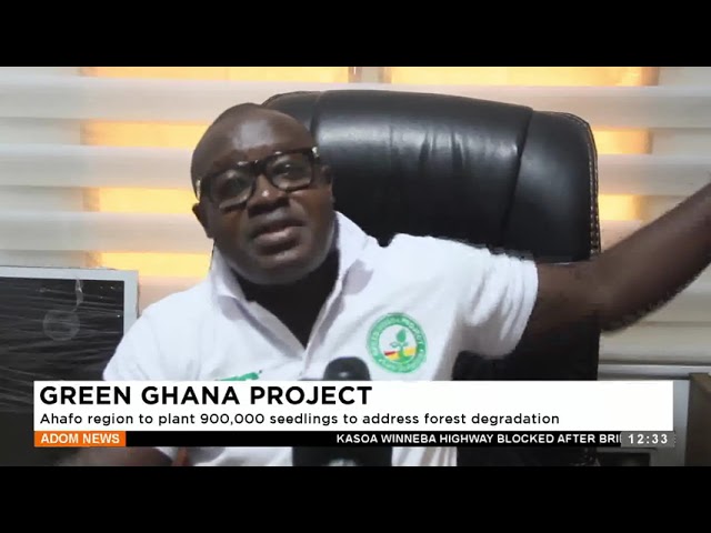 ⁣Ahafo region to plant 900,000 seedlings to address forest degradation - Premtobre Kasee on Adom TV