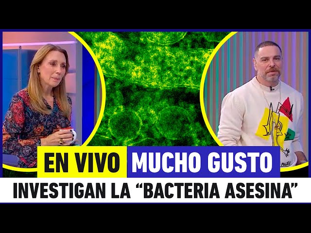 ⁣EN VIVO | Mucho Gusto - C}asos de "bacteria asesina" se triplican ese año