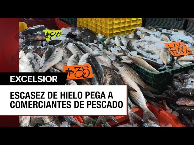 ⁣Vendedores de pescados y mariscos duplican consumo de hielo por calor