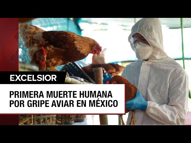 ⁣Muere en México la primera persona por la gripe aviar
