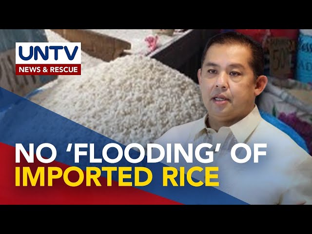 ⁣Tariff reduction won’t flood market with imported rice - Speaker Romualdez