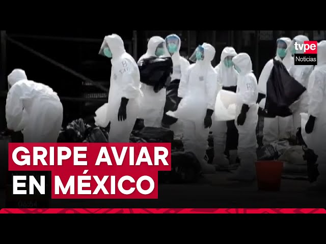 ⁣La OMS confirma primera muerte humana mundial por gripe aviar H5N2 en México