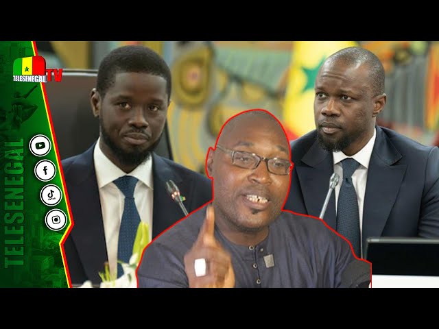 ⁣Adama Fall dévoile les véritables dérives de SONKO sur les pouvoirs de Diomaye