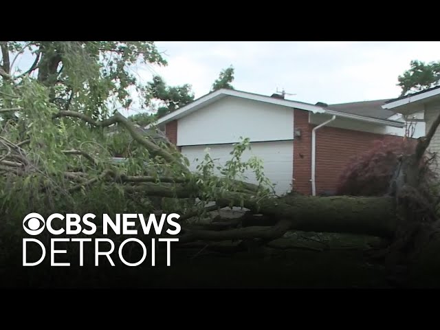 ⁣Tracking tornado damage in Livonia