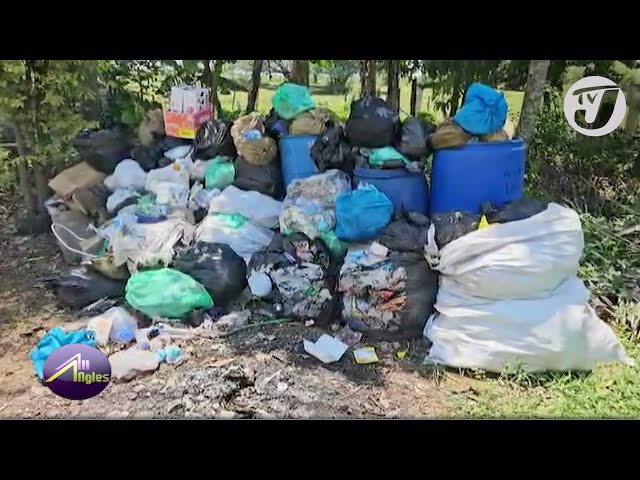 ⁣Plastic Ban in Jamaica | TVJ All Angles