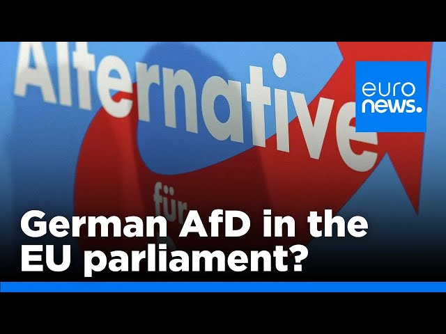 ⁣Super Poll: Could German AfD create a new alt-right group in the European Parliament? | euronews 