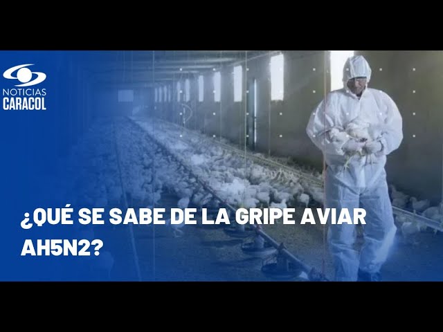 ⁣¿Qué se sabe del primer caso de muerte humana por gripe aviar AH5N2 en México?