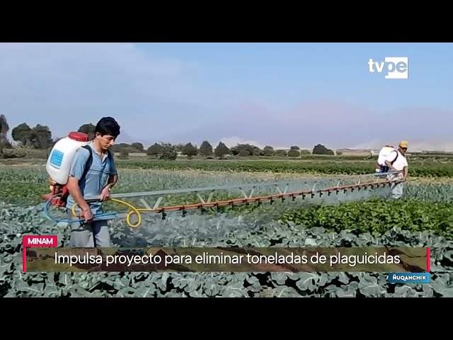 ⁣Ñuqanchik (06/06/2024) | TVPerú Noticias