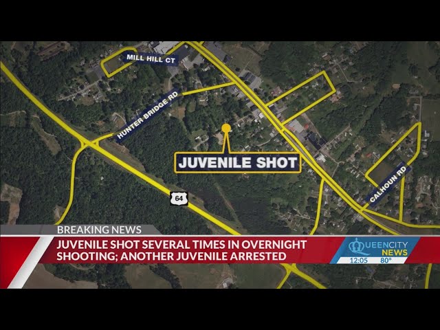 ⁣Juvenile injured in Alexander County shooting