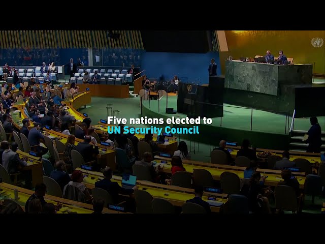 ⁣Five nations elected to UN Security Council