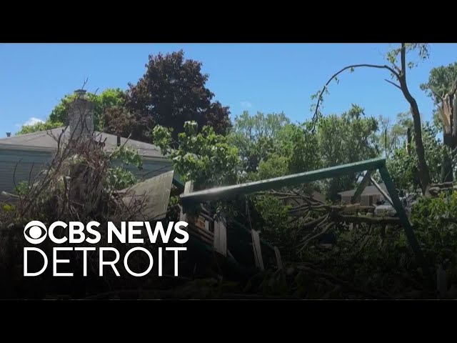 ⁣Cleanup efforts underway after tornado hits Livonia