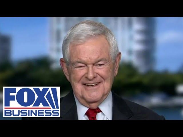⁣Newt Gingrich: We have to remember the price for freedom