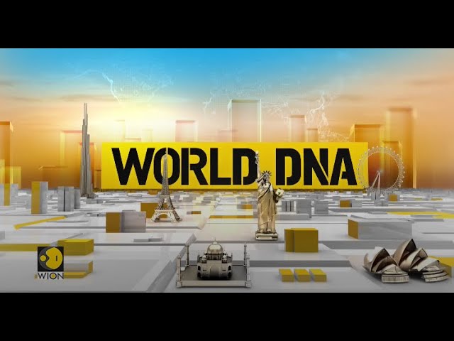 ⁣WION LIVE News | World  English News | International News | Top English News | Live | World DNA Live