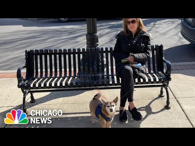 ⁣Woman, 71, feels ‘lucky to be alive' after being stabbed while walking her dog in Chicago