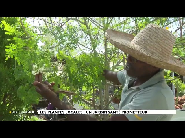 Du jardin à l'assiette chez Malik Malsa