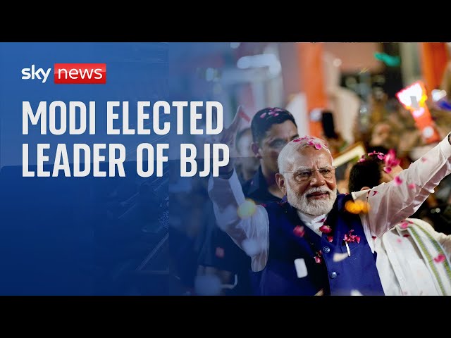 ⁣Watch live: India PM Narendra Modi is elected leader of Bharatiya Janata Party (BJP)
