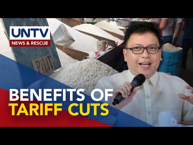 ⁣Reducing tariffs on rice, coal could help boost country's economy - Economist