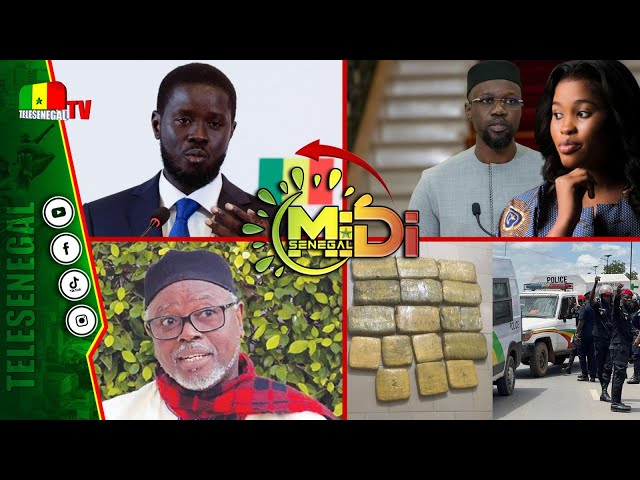 ⁣[LIVE] Impunités des Patriotes Alioune Tine le Sénégal tend  vers un état Pastefien