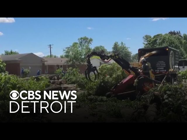 ⁣Cleanup process continues following devastating Metro Detroit storm