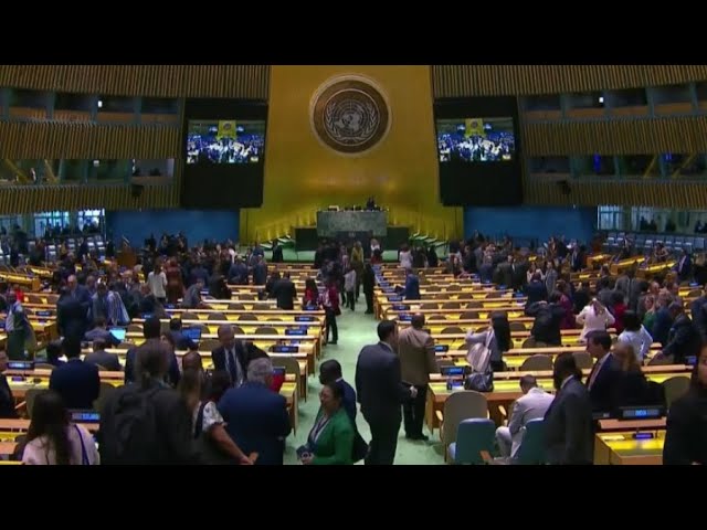 ⁣В Совбез ООН избраны новые непостоянные члены