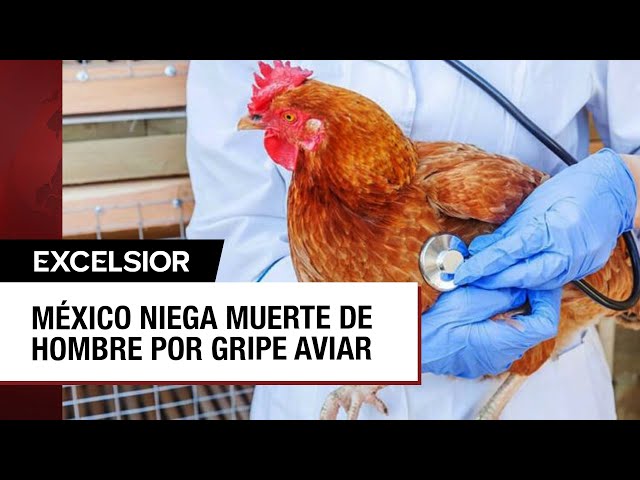 ⁣Muerte de hombre del Edomex no fue por gripe aviar, aclara Secretaría de Salud