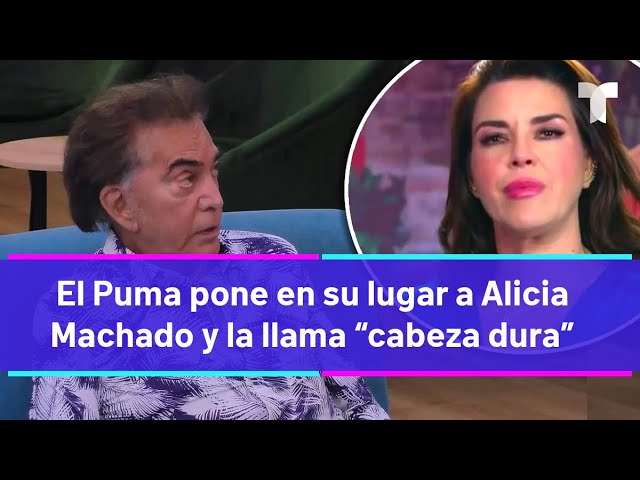 ⁣Top Chef VIP  | El Puma pone en su lugar a Alicia Machado y la llama “cabeza dura”